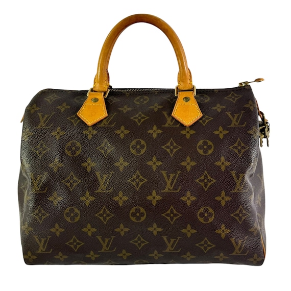 LOUIS VUITTON ブラウン ガーメントケース LOUIS VUITTON ブラウン ガーメントケース