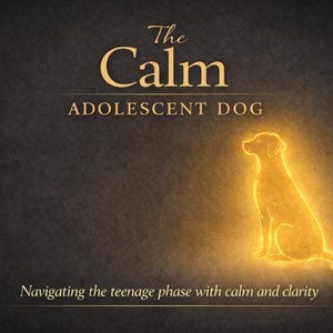 May include: A dark background with the text "The Calm ADOLESCENT DOG" in gold lettering. A glowing gold outline of a dog is on the right. The text "Navigating the teenage phase with calm and clarity" is at the bottom.