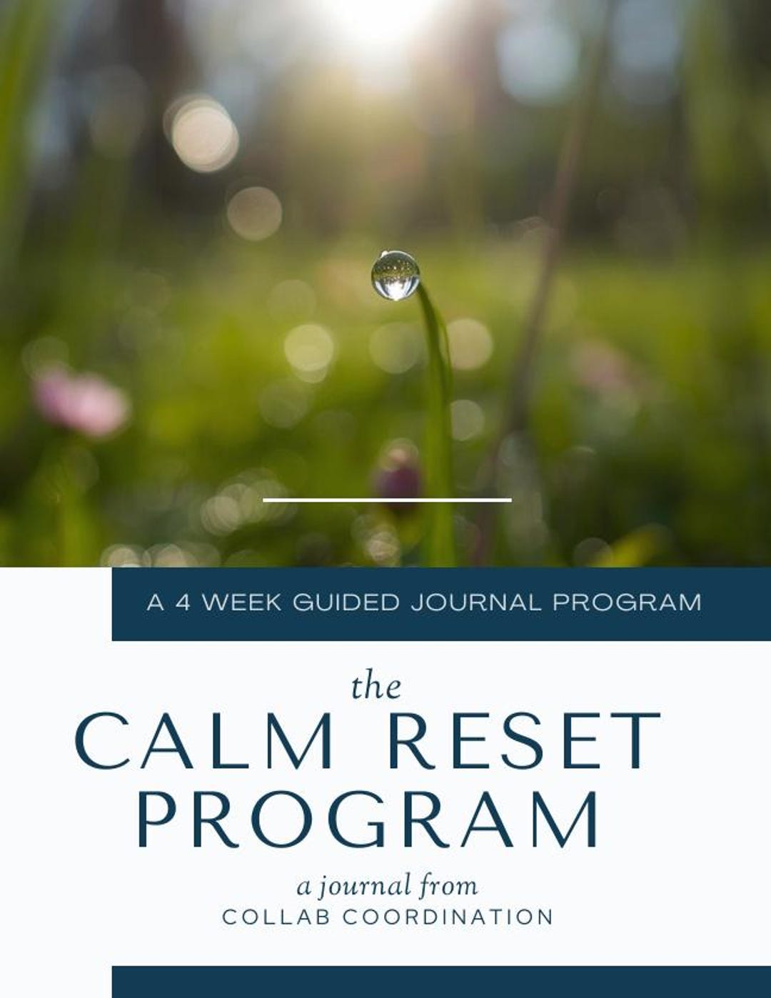 The Calm Reset Journal - Etsy