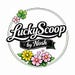 LuckyScoopbynosh