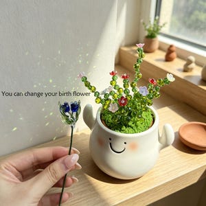 Könnte beinhalten: Ein weißer Keramikübertopf mit lächelndem Gesicht und rosa Wangen enthält eine Perlenpflanze mit grünen Stielen und kleinen roten, weißen und rosa Blüten. Eine einzelne blaue Glasblume an einem grünen Stiel wird daneben gehalten. Text: You can change your birth flower.