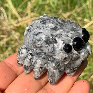 May include: A carved stone spider sculpture in shades of gray and black. The spider has large, glossy black eyes and detailed legs. The sculpture is held in a hand against a background of green grass.