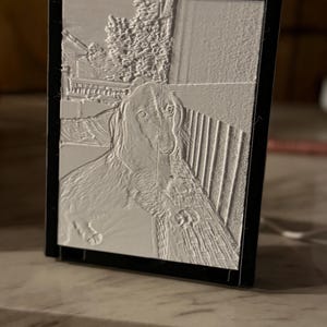 May include: A framed, 3D-printed relief of a dog, likely a long-haired breed, in a seated pose. The artwork is white and set within a black frame, creating a contrast. The image has a textured appearance.