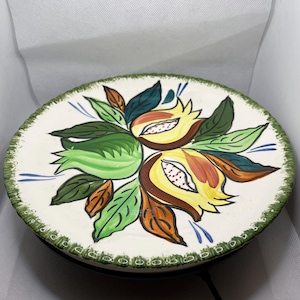 Könnte beinhalten: Ein runder Keramikteller mit handgemaltem Blumendesign. Der Teller hat einen weißen Hintergrund mit einem grünen, gelben, braunen und blauen Blumenmuster. Der Rand des Tellers ist grün. Der Teller steht auf einer schwarzen Oberfläche.