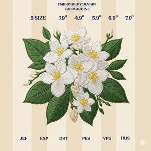 White Jasmine Stickerei, florale Stickdatei, Maschinenstickerei, Blüte Blumenmuster, botanische Stickdatei, sofortiger Download