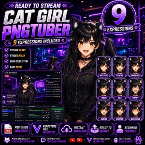 Gamer Katzen Mädchen PNGTuber | Schwarze Katze VTuber Profilbild | Vorgefertigtes Veadotube-Modell | Twitch YouTube OBS Discord Streamer