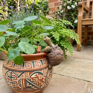 Puede incluir: Maceta de cerámica de color terracota con un diseño geométrico en tonos marrón, turquesa y blanco. Una figura decorativa de tortuga está adherida a la maceta. La maceta contiene plantas verdes con hojas redondas.