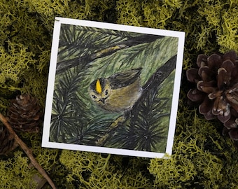 Wintergoldhähnchen auf Zweig Kunstdruck „Curious little Goldcrest“ | Fine Art Print Hahnemühle | Natur Wandbild 10 x 10 cm