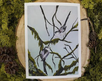 Schwanzmeisen auf Moos-Zweigen Kunstdruck „Lovebirds“ | Fine Art Print Hahnemühle | Natur Wandbild 18 x 24 cm