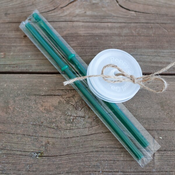 2 Mason Jar Tumbler Lids - 2 Canning Jar Drinking Lids and Reusable Straws