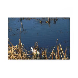 Puede incluir: Un paisaje sereno con una garza blanca de pie entre altos juncos secos a la orilla de un estanque azul. Dos patos nadan en el fondo. La escena está bañada por la luz natural, creando una atmósfera pacífica.