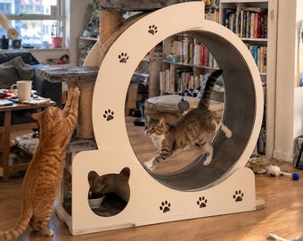 White Cat Wheel With Condos