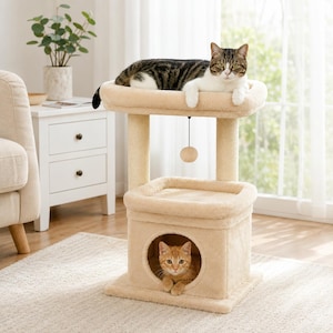 Könnte beinhalten: Ein beigefarbener Katzenbaum mit quadratischer Basis, einer unteren geschlossenen Höhle mit kreisförmiger Öffnung, zwei mit Sisal umwickelten Stämmen und einer erhöhten oberen Plattform. Ein kleiner Spielball hängt mittig unter der Plattform.