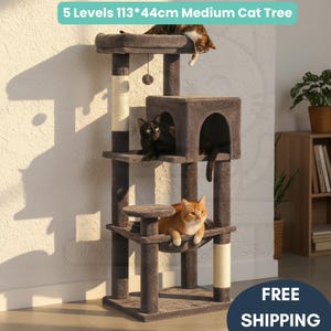 May include: A five-level medium cat tree, measuring 44cm wide and 113cm tall, in shades of brown. The cat tree features multiple platforms, a hideaway, and scratching posts. Several cats are lounging on the different levels.