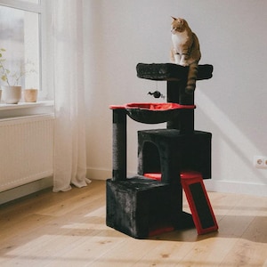May include: A multi-level cat tree with a black plush finish and red accents. A brown tabby cat sits atop the highest platform. The cat tree includes a scratching post, a hammock, and a small ramp.