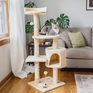 May include: Beige cat tree with multiple levels, a cat house, and scratching posts. A gray cat is perched on the top level, with its mouth open. The base features a paw print design.