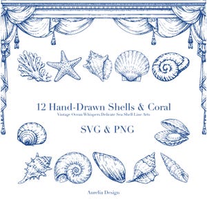 May include: A collection of 12 hand-drawn shells and coral illustrations in a vintage style. The image features various shell shapes and a starfish, all in a detailed blue line art design. Text reads "12 Hand-Drawn Shells & Coral" and "SVG & PNG".