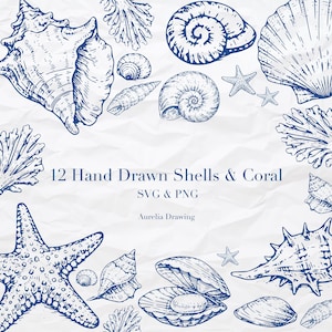 May include: Hand-drawn illustration of shells and coral in navy blue on a white background. The image includes various shell shapes, starfish, and coral, with the text "12 Hand Drawn Shells & Coral SVG & PNG" and "Aurelia Drawing".