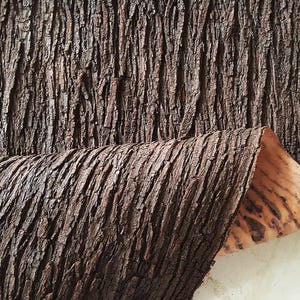 May include: Close-up of a textured, dark brown bark material. The bark has a rough, ridged surface with varying shades of brown. A section of the bark is peeled back, revealing a lighter, patterned underside. The image showcases the natural texture and color variations.