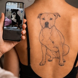 Puede incluir: Un tatuaje detallado de un perro sentado, probablemente un pitbull, es visible en la espalda de una persona. El tatuaje es un dibujo lineal marrón. Un teléfono inteligente muestra una foto de un perro similar, en blanco y negro.