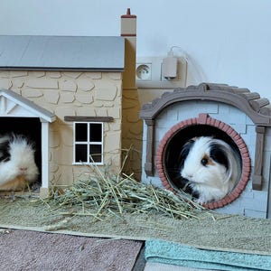 Puede incluir: Dos cobayas en casas decorativas. Una está en una casa beige con marco de puerta y ventanas blancos. La otra está en una abertura redonda en una casa gris. Hay heno frente a las casas.