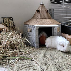 May include: A small, round, gray stone-textured hut with a conical brown roof and small windows, featuring a white guinea pig resting in front of the entrance and a brown and white guinea pig partially visible inside the structure.