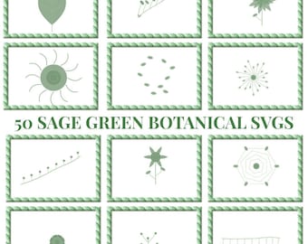 Pacote de SVGs Botânicos Verde Sálvia | PNGs de Flores Silvestres para Cricut (Download Digital)