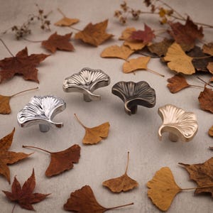 Op de afbeelding: Vier metalen kastknoppen in de vorm van ginkgobladeren, gerangschikt in een groep. De knoppen hebben een waaiervormig ontwerp met stralende ribbels en zijn verkrijgbaar in vier verschillende afwerkingen: gepolijst chroom, geborsteld zilver, donker brons en mat goud.