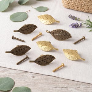 May include: A collection of six leaf-shaped cabinet knobs in antique brass and bright gold finishes. Each knob features detailed vein textures on the surface and includes a matching metal mounting screw for installation on furniture drawers.