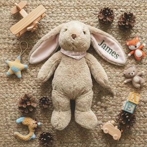 Personalized Embroidered Bunny Plush Custom Name Rabbit Stuffed Animal Newborn Baby Shower Gift Monogrammed Linen Rug Decor Keepsake Toy