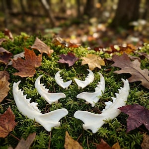 May include: A white ceramic mug with a black handle and the text "But First, Coffee" in a bold, black font. The mug is set against a neutral background, highlighting its simple design.