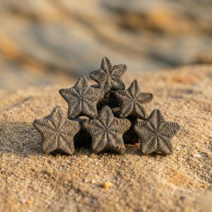 Puede incluir: Una colección de seis objetos grises en forma de estrella con patrones de superficie detallados, dispuestos sobre una superficie arenosa. Los objetos están apilados en forma de pirámide, mostrando sus intrincados diseños y texturas.