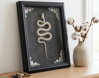 Real Snake Skeleton in Frame, Framed Serpent Bone Specimen, Gothic Home Decor, Rogue Taxidermy Art, Unique Oddity Gift, Macabre Wall Art