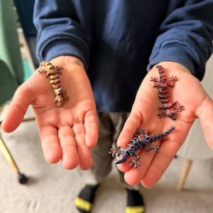 Peut inclure: Trois figurines de lézard articulées avec des corps segmentés. Un lézard est doré métallisé, un est rouge et noir, et un est bleu et violet. Chaque lézard présente une tête détaillée, quatre pattes avec des doigts visibles et une longue queue flexible.