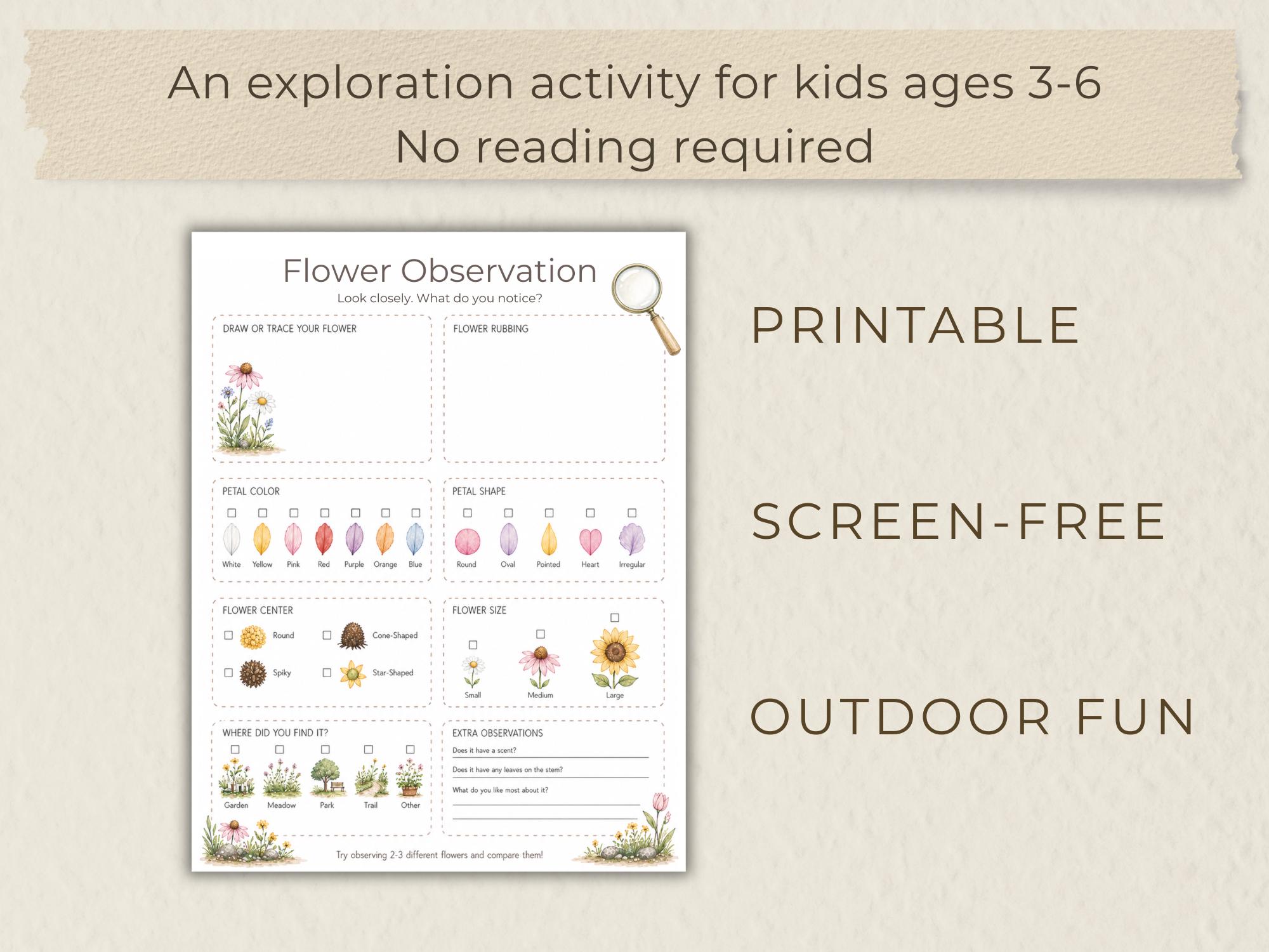 Flower Observation Worksheets.pdf Flower Observation Worksheet | Printable Botanical Study Guide ...