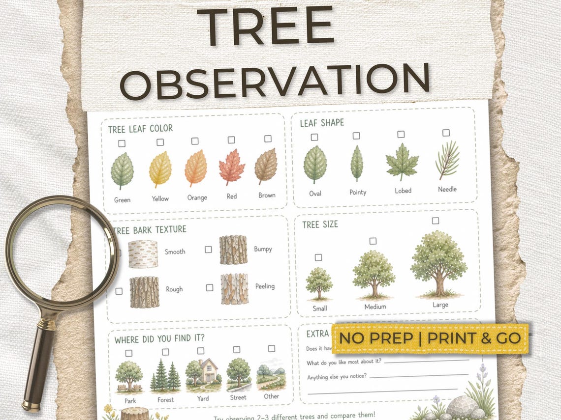 Tree Observation Worksheet for Kids | Nature Study Printable | Outdoor ...