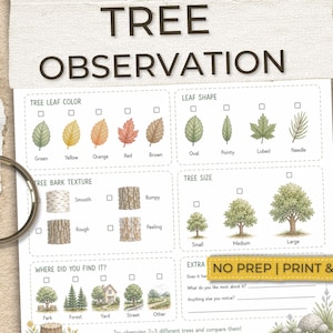 May include: A printable "Tree Observation" worksheet with illustrations of leaves, tree bark, and tree sizes. Includes checkboxes for color, shape, and texture. The text "NO PREP | PRINT & GO" is also visible.