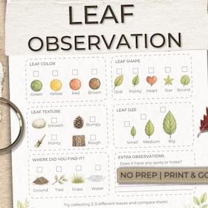 May include: A leaf observation chart with the title "LEAF OBSERVATION" in large, bold letters. The chart includes sections for leaf color, shape, texture, and size, with corresponding illustrations. A magnifying glass and a red leaf are also present.