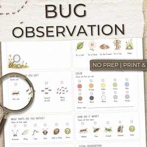 Puede incluir: Una hoja de trabajo imprimible para la observación de insectos con el texto BUG OBSERVATION y NO PREP | PRINT & GO. El documento incluye secciones para registrar avistamientos, colores, movimientos y partes del cuerpo, con una lupa.