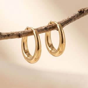 May include: A pair of polished gold hoop earrings with a smooth, rounded surface. The earrings are suspended from a thin, textured brown twig, showcasing their reflective metallic finish and circular shape against a neutral background.