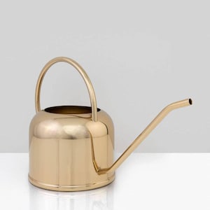 May include: A gold-colored watering can with a curved handle and a long, slender spout. The watering can has a rounded body and a shiny, metallic finish. Perfect for indoor or outdoor gardening.