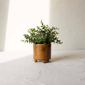 May include: A brown ceramic plant pot with three small feet, containing green leafy plants. The pot has a glossy finish and a cylindrical shape. The plant has multiple stems and small, round leaves. The background is a textured white surface.