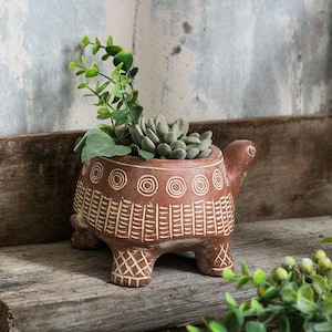 Puede incluir: Una maceta de cerámica marrón con forma de tortuga y diseño texturizado, que contiene una suculenta y vegetación. La maceta tiene un patrón decorativo alrededor del borde y en las patas. La maceta de tortuga mide unos 15 cm de largo.