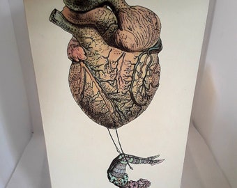 洋楽 SHAPE OF HEART, SHAPE OF HUMAN SHAPE OF HEART, SHAPE OF HUMAN