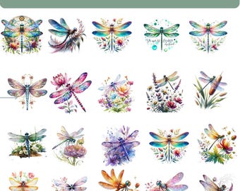 Floral Dragonfly Clipart Bundle, Watercolor PNG Designs (Digital Download)