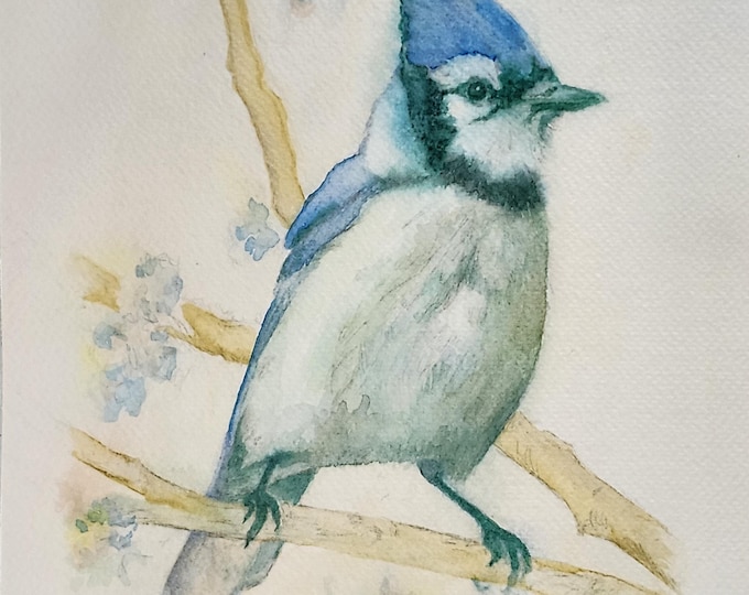 Blue Jay Watercolor Painting, Original Bird Art, Signed