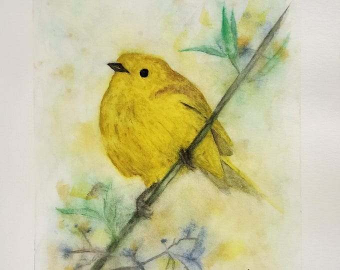 Golden Moment Bird Watercolor Painting, Original Signed Art