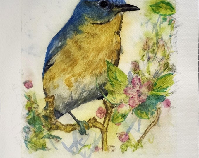Original Bluebird Watercolor Painting, Signed Bird Art, 11x8.5 Unframed