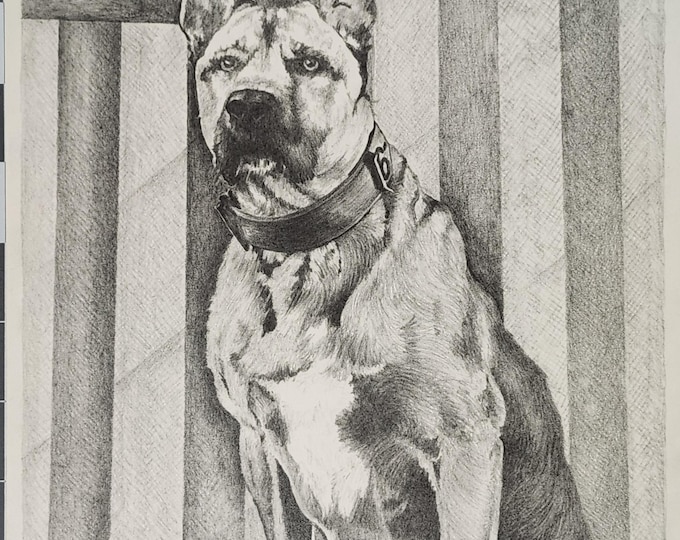 Steadfast Courage Dog Portrait Graphite Sketch, Original Hand Sketched Art (8.5x11 inches)