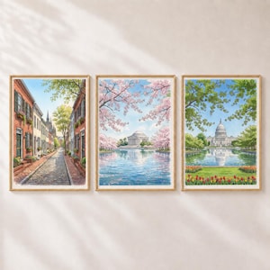 Puede incluir: Tres pinturas en acuarela enmarcadas que representan escenas de Washington D.C.: una calle empedrada con edificios de ladrillo, el Monumento a Jefferson rodeado de cerezos en flor y el Capitolio reflejado en un estanque.
